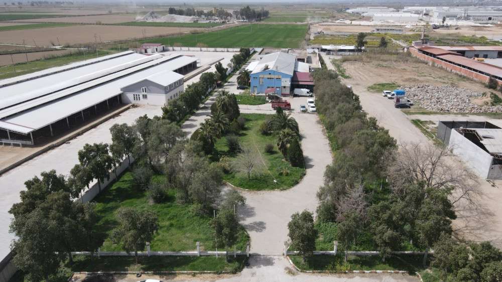 Nazilli'de kurban kesim fiyatları açıklandı 